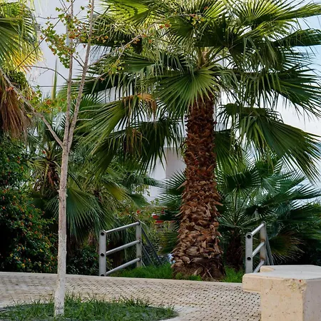 Alesia Seaside